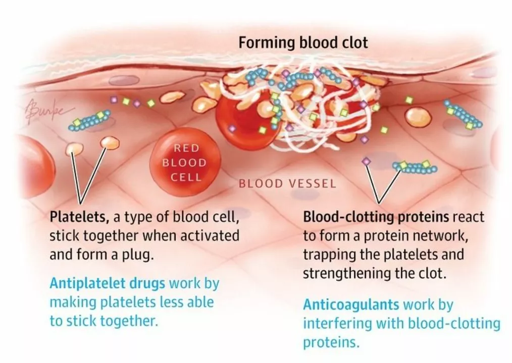 The connection between smoking and blood clot formation
