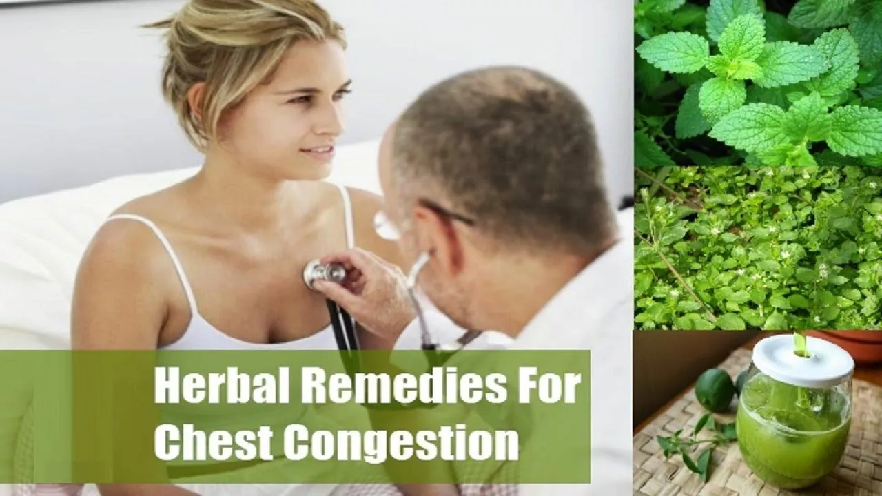The Benefits of Herbal Teas for Chest Congestion