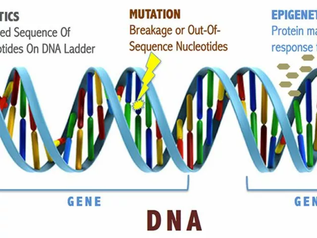 The Role of Genetics in Hearing Difficulty