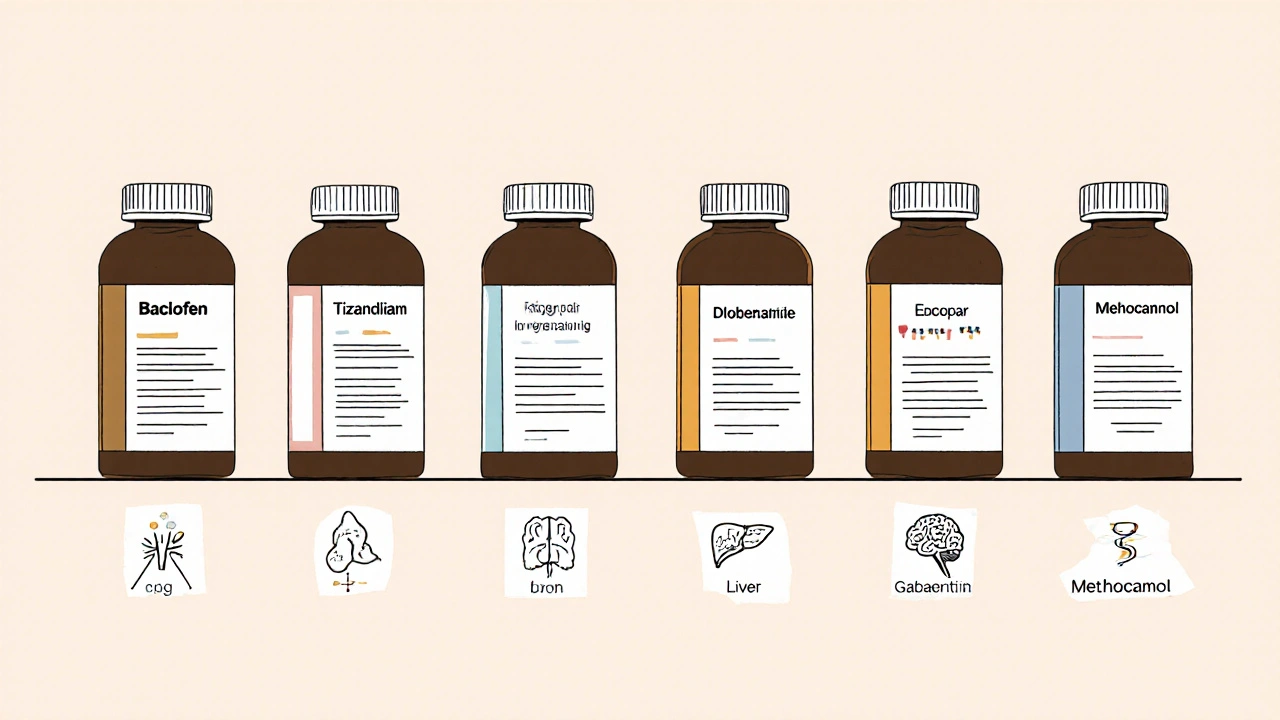 Row of six medication bottles each with icons for their mechanisms.
