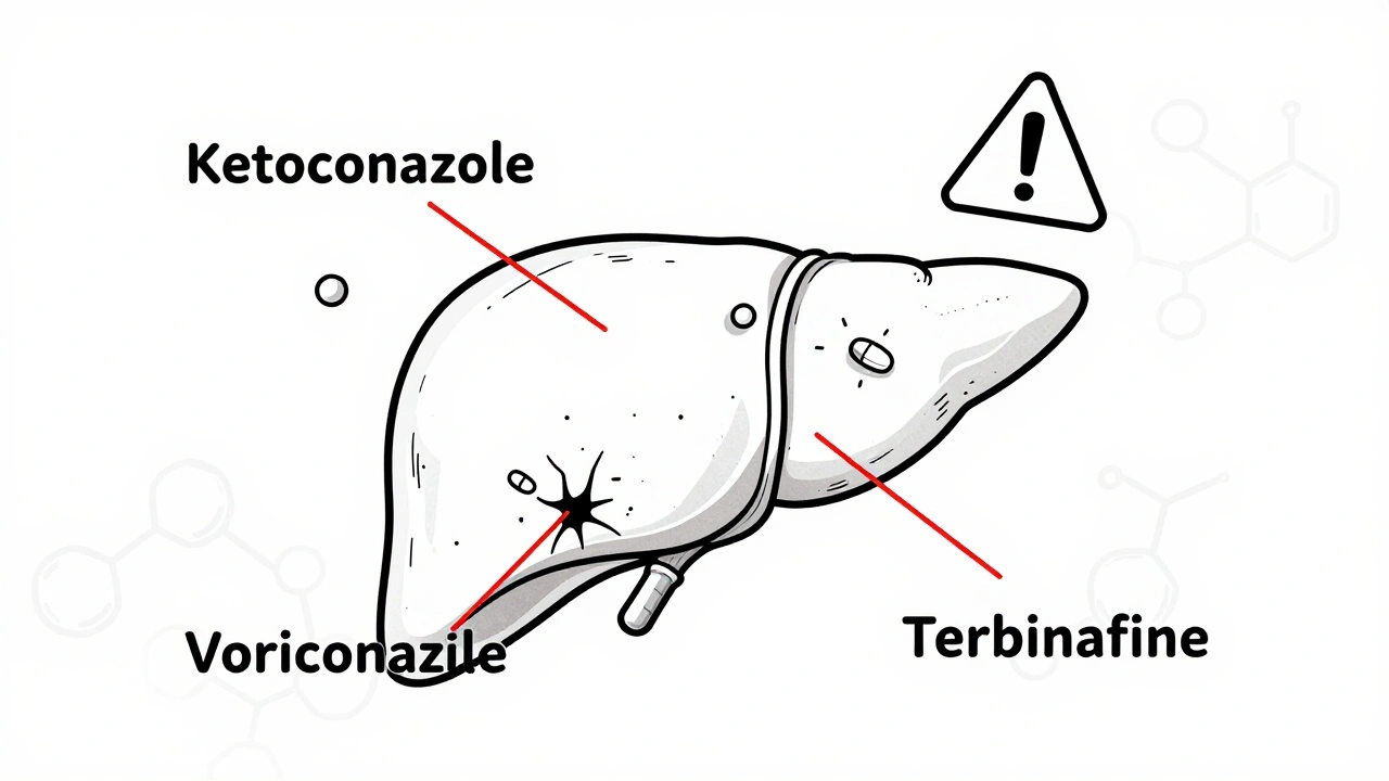 Antifungals and Liver Safety: What You Need to Know About Drug Interactions and Risks